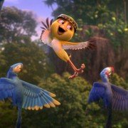 Rio 2 - galeria zdjęć - filmweb