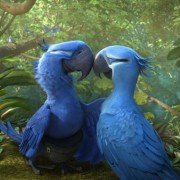 Rio 2 - galeria zdjęć - filmweb