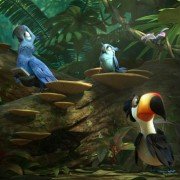 Rio 2 - galeria zdjęć - filmweb