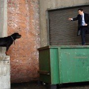 Chaos - galeria zdjęć - filmweb