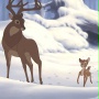 Bambi 2 - galeria zdjęć