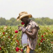 Hap and Leonard - galeria zdjęć - filmweb