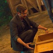 Hap i Leonard - galeria zdjęć - filmweb