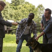 Hap i Leonard - galeria zdjęć - filmweb