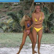 Bikini Karate Babes - galeria zdjęć - filmweb