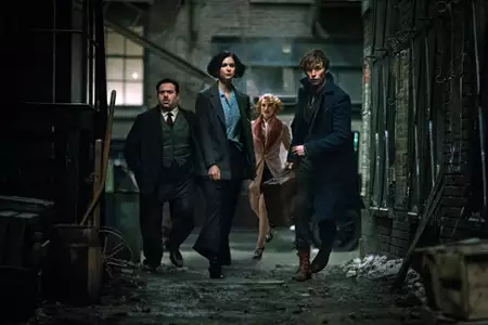 Fantastyczne zwierzęta i jak je znaleźć - galeria zdjęć - filmweb