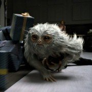 Fantastic Beasts and Where to Find Them - galeria zdjęć - filmweb