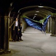 Fantastic Beasts and Where to Find Them - galeria zdjęć - filmweb