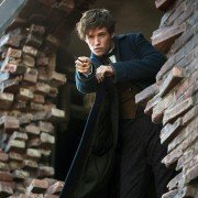 Fantastic Beasts and Where to Find Them - galeria zdjęć - filmweb