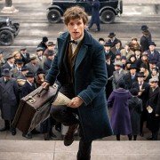 Fantastic Beasts and Where to Find Them - galeria zdjęć - filmweb