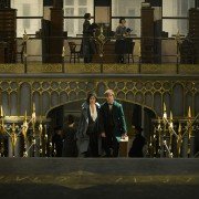 Fantastic Beasts and Where to Find Them - galeria zdjęć - filmweb