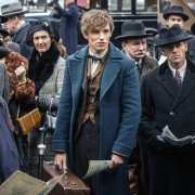 Fantastic Beasts and Where to Find Them - galeria zdjęć - filmweb