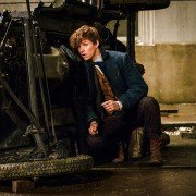 Fantastic Beasts and Where to Find Them - galeria zdjęć - filmweb