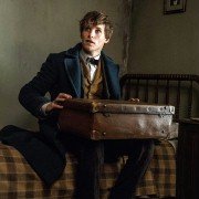 Fantastic Beasts and Where to Find Them - galeria zdjęć - filmweb