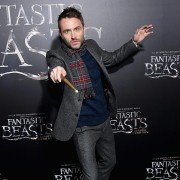 Fantastic Beasts and Where to Find Them - galeria zdjęć - filmweb