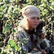 Miejsca w sercu - galeria zdjęć - filmweb