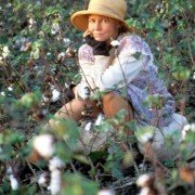 Places in the Heart - galeria zdjęć - filmweb