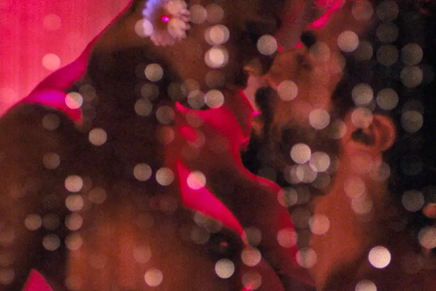 Płomień - galeria zdjęć - filmweb