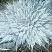 Steamboy - galeria zdjęć - filmweb