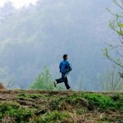 Shan zha shu zhi lian - galeria zdjęć - filmweb