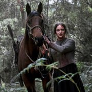 The Nightingale - galeria zdjęć - filmweb