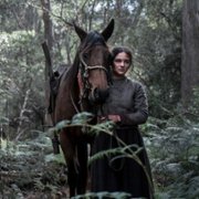 The Nightingale - galeria zdjęć - filmweb