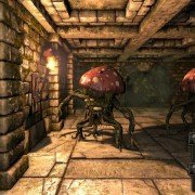 Legend of Grimrock - galeria zdjęć - filmweb