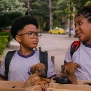 Toda Família Tem - galeria zdjęć - filmweb