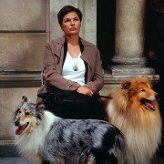 Transit - galeria zdjęć - filmweb