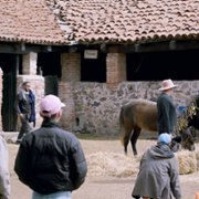 Pornomelancolía - galeria zdjęć - filmweb