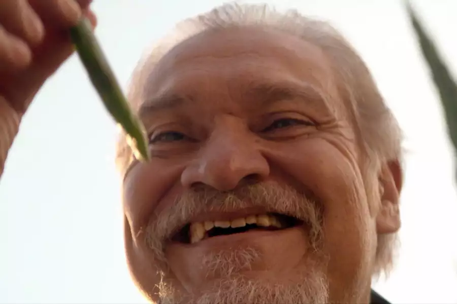 Gentefied - galeria zdjęć - filmweb