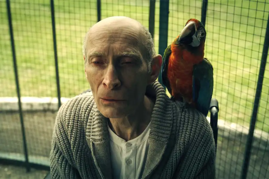 Wednesday - galeria zdjęć - filmweb