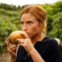 Mango - galeria zdjęć