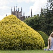 The White Princess - galeria zdjęć - filmweb