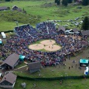 Hoselupf - galeria zdjęć - filmweb