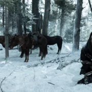 American Primeval - galeria zdjęć - filmweb