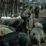 Świt Ameryki - galeria zdjęć - filmweb