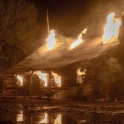 American Primeval - galeria zdjęć - filmweb