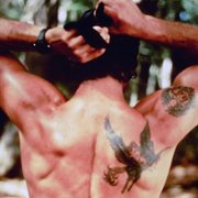 Zjadacz węży - galeria zdjęć - filmweb
