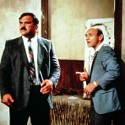 Zjadacz węży - galeria zdjęć - filmweb