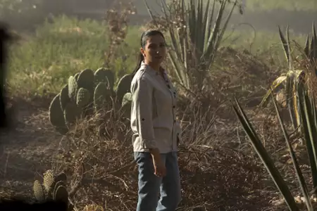 Baghdad Central - galeria zdjęć - filmweb