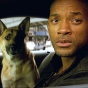 I Am Legend - galeria zdjęć - filmweb