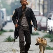 I Am Legend - galeria zdjęć - filmweb