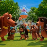 Precel i szczeniaczki - galeria zdjęć - filmweb