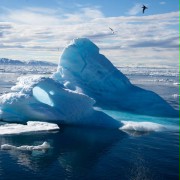 Arktyka 3D - galeria zdjęć - filmweb