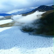 To the Arctic 3D - galeria zdjęć - filmweb