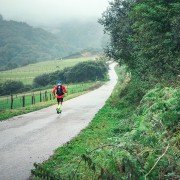 RunCamino - galeria zdjęć - filmweb