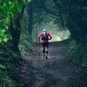 RunCamino - galeria zdjęć - filmweb