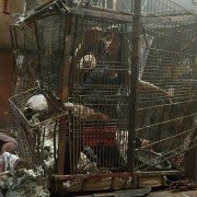 See No Evil - galeria zdjęć - filmweb