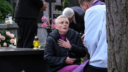 Sezon 32 Odcinek 418 Pocztówka z przeszłości